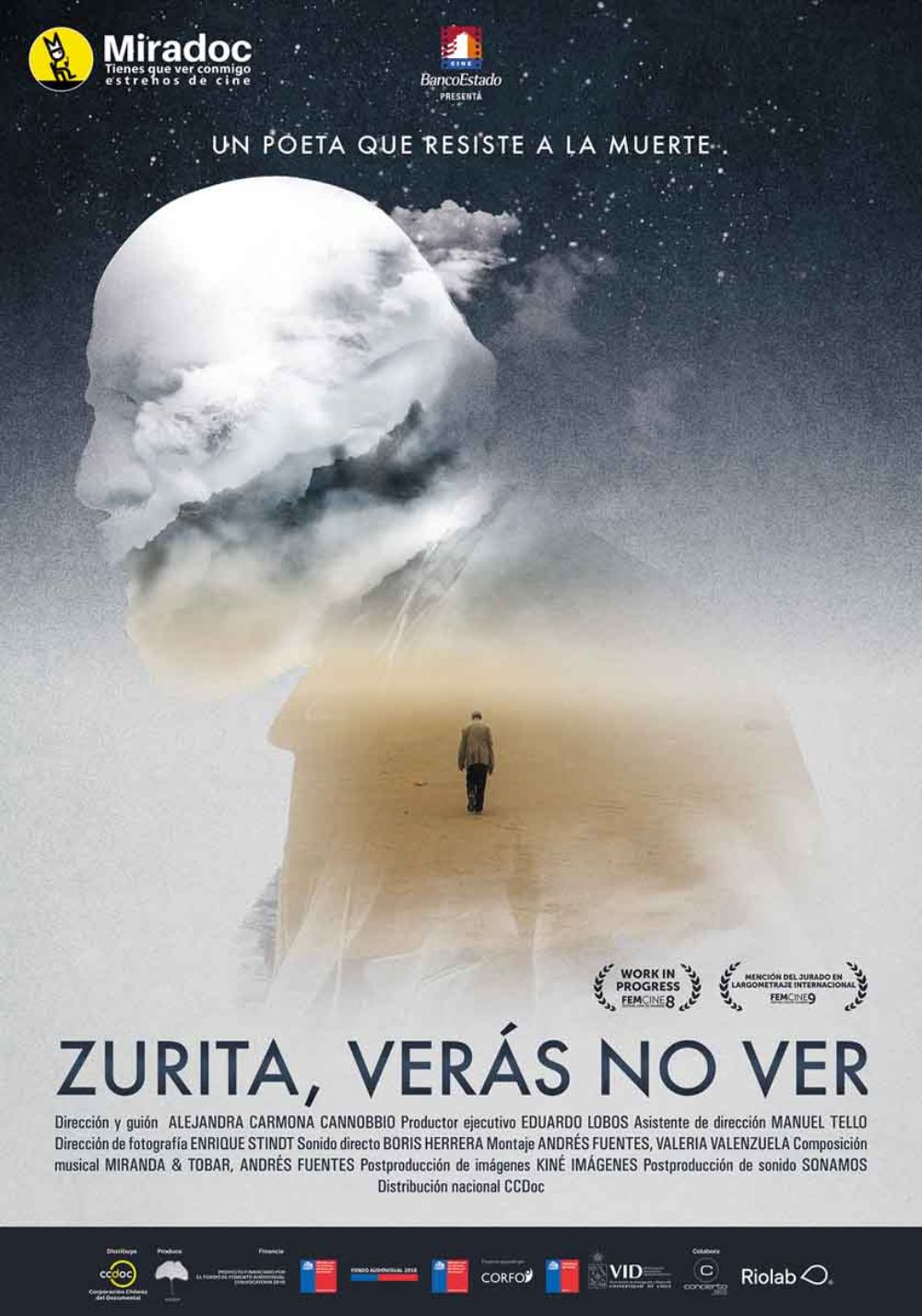 En el ámbito de las pantallas de las señales televisivas, el documental "Zurita, verás no ver" se presentará en el ciclo  “La Maleta del Cine Chileno” en UNAM TV.
